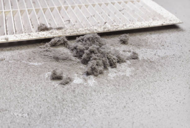Best Air Duct Sanitizing Services  in Pembroke, GA