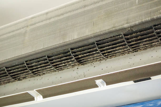 Best Ductwork Cleaning Services  in Pembroke, GA